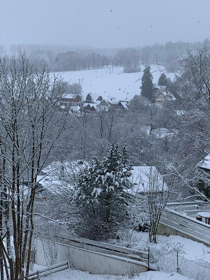 Harz 21 Διαμέρισμα Braunlage Εξωτερικό φωτογραφία